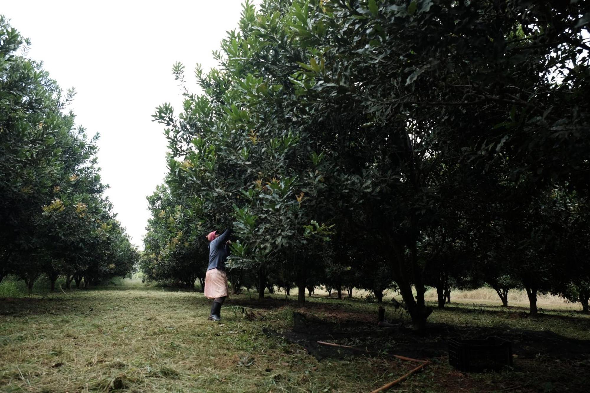 Mabuda Guest Farm Siteki Kültér fotó