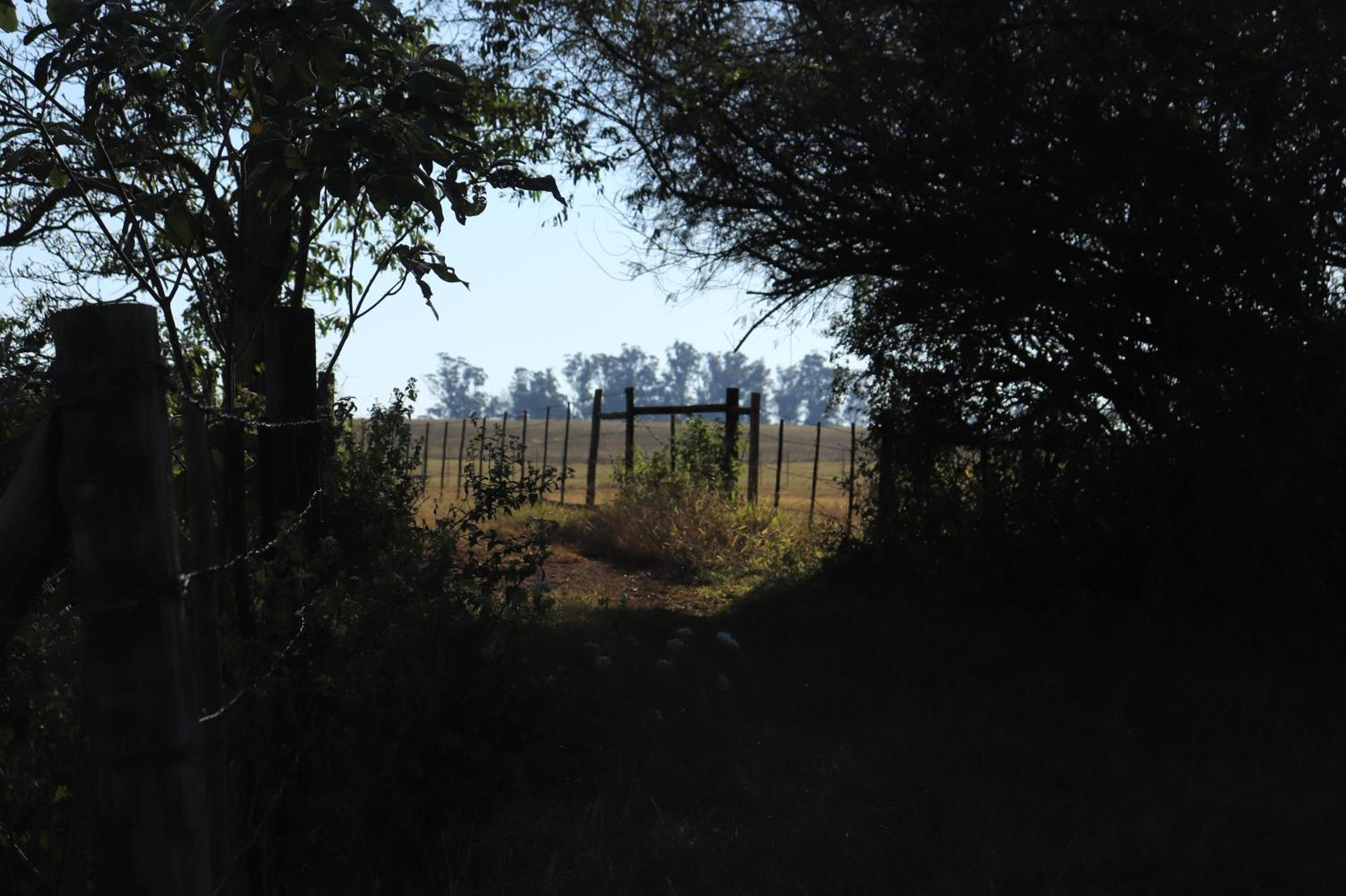 Mabuda Guest Farm Siteki Kültér fotó